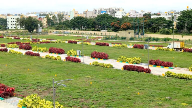 WhatsApp Image 2024-11-05 at 6.59.41 PM