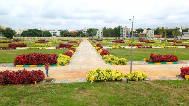 WhatsApp Image 2024-11-05 at 7.00.25 PM