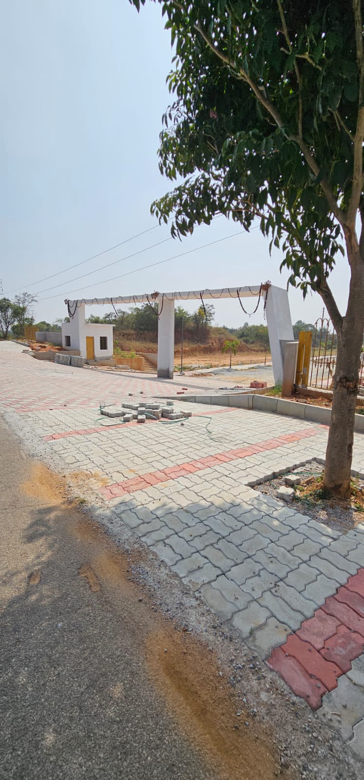 WhatsApp Image 2024-01-20 at 10.53.04 AM (2)