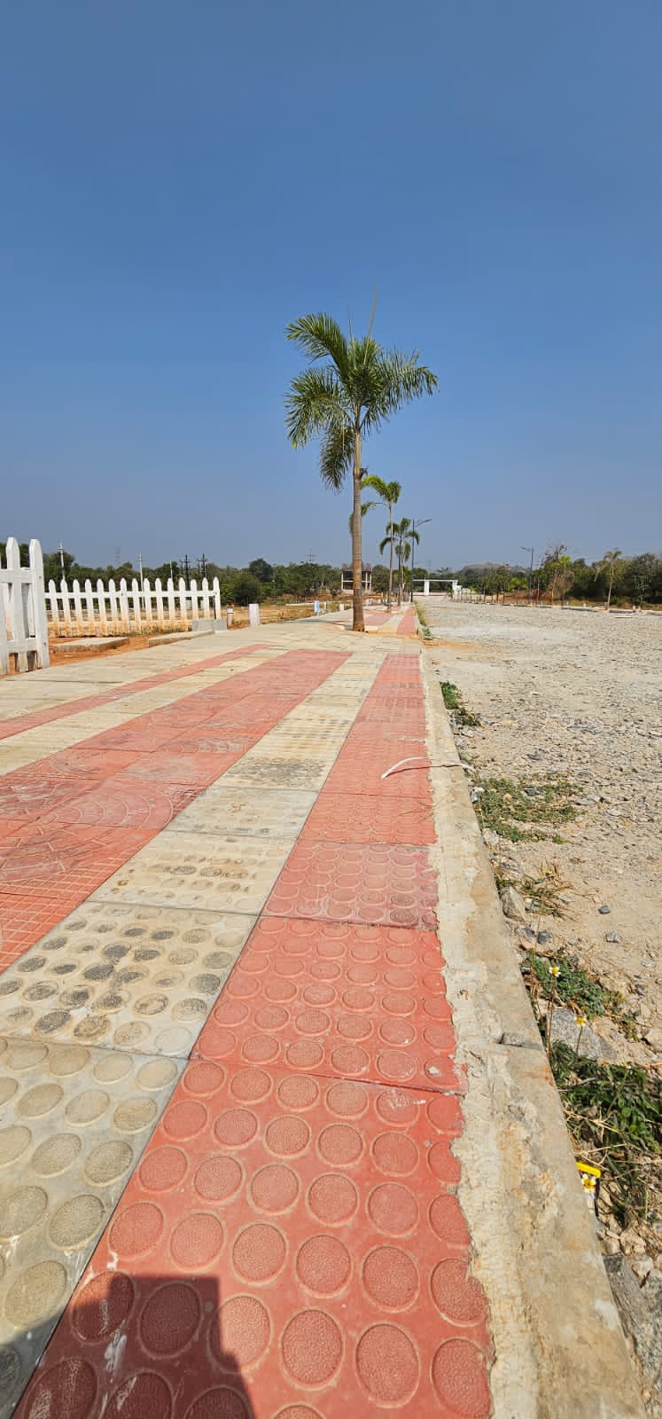 WhatsApp Image 2024-01-20 at 10.53.05 AM