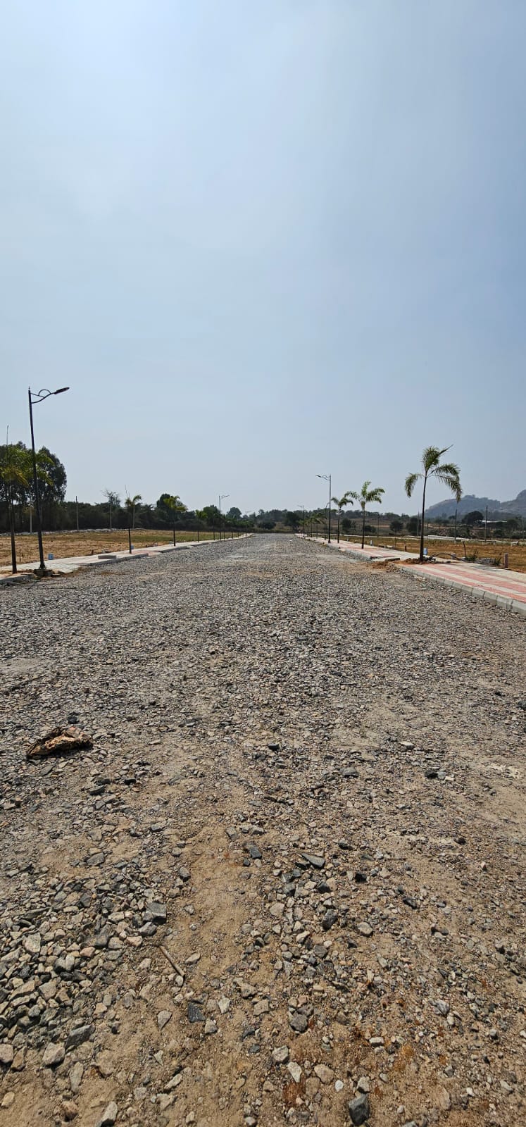 WhatsApp Image 2024-01-20 at 10.53.06 AM (1)