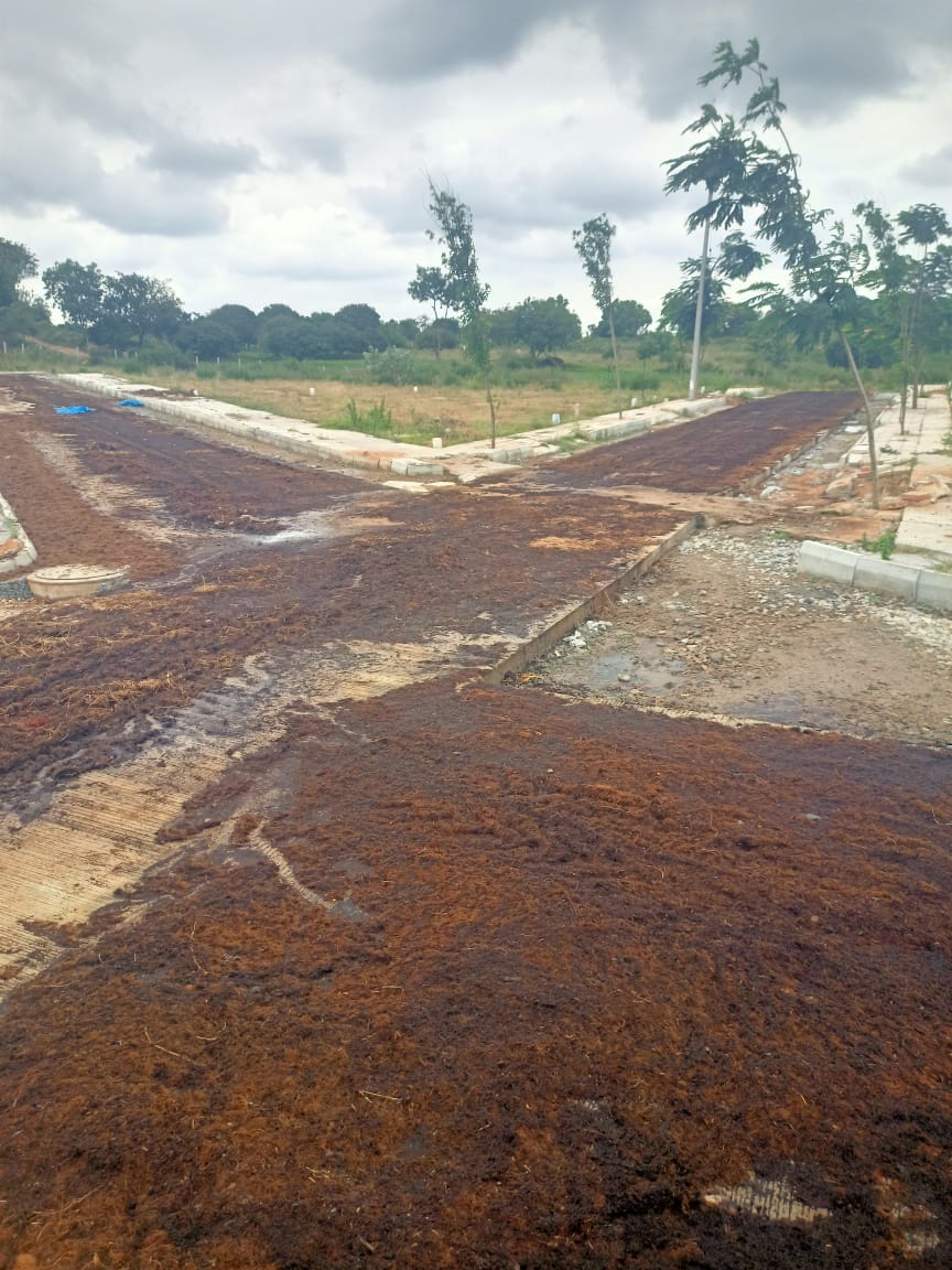 WhatsApp Image 2024-10-08 at 4.28.36 PM