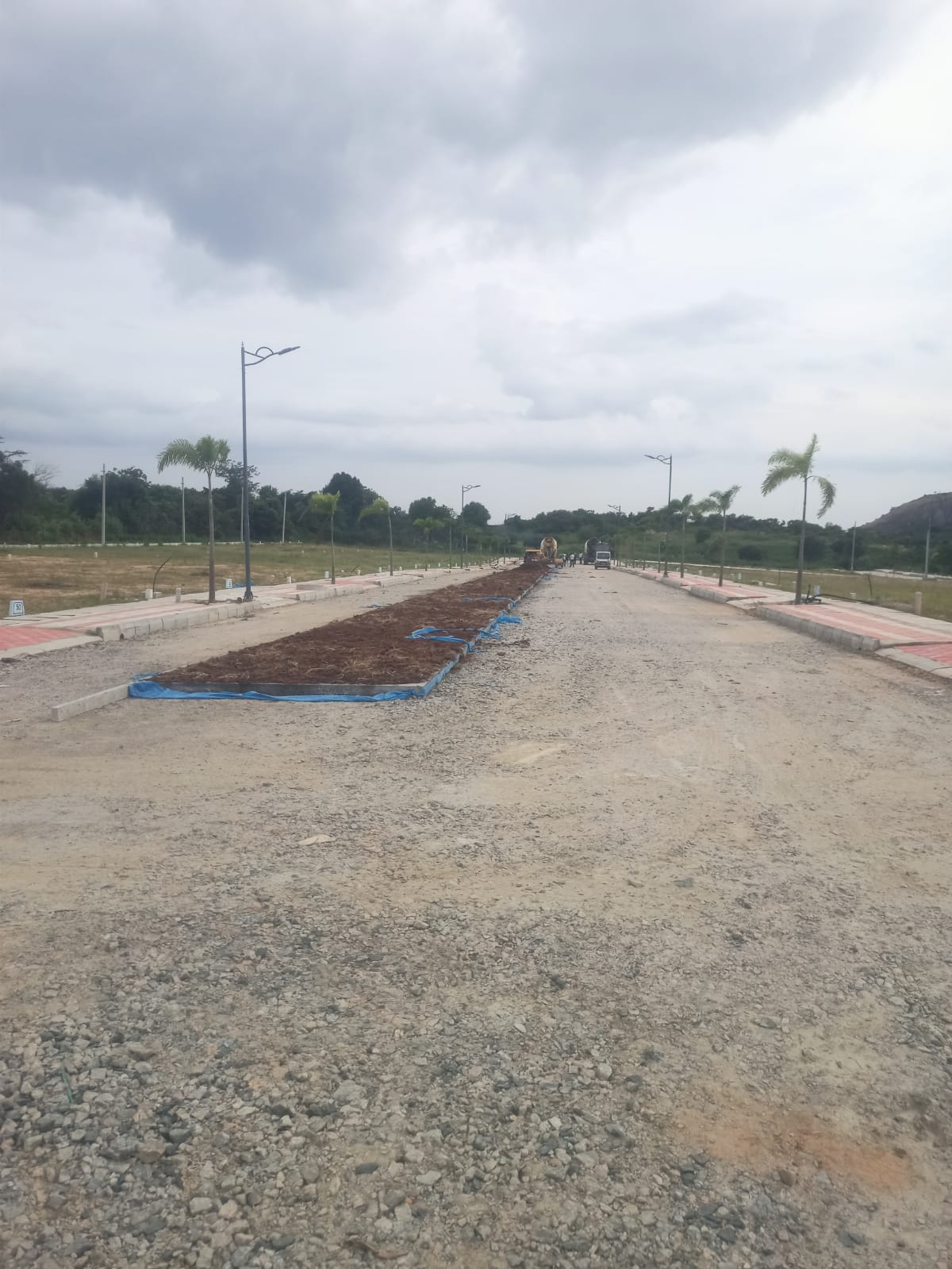 WhatsApp Image 2024-10-08 at 4.28.38 PM (1)