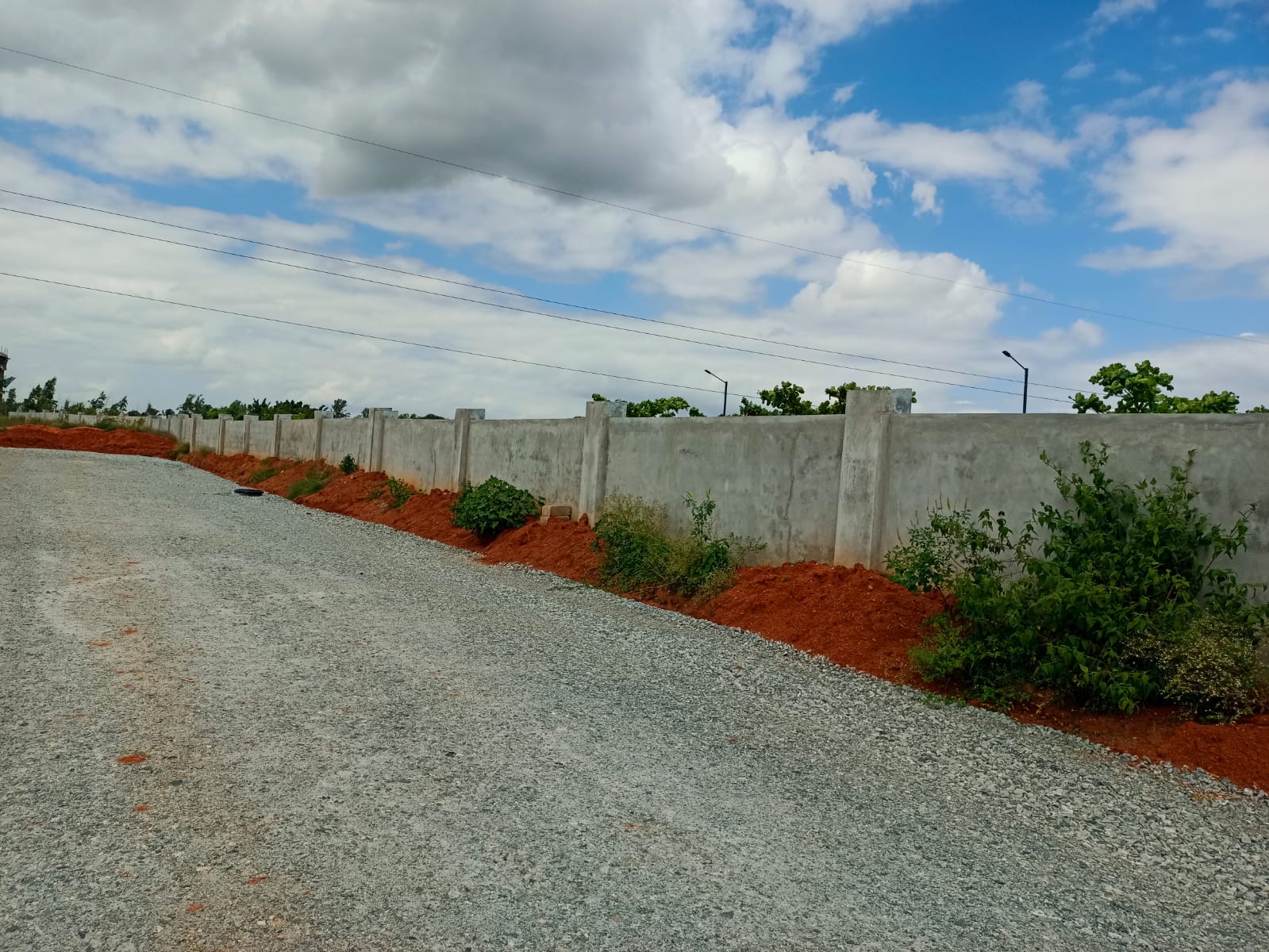 WhatsApp Image 2024-11-06 at 6.35.07 PM (2)