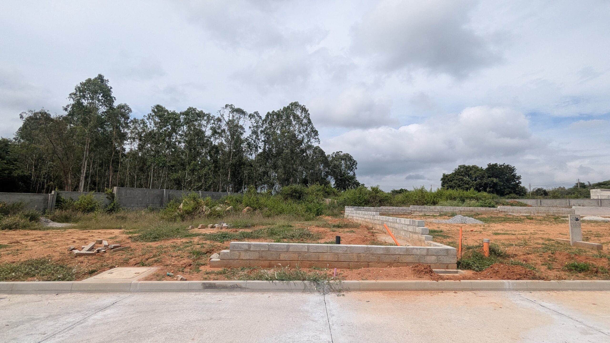 WhatsApp Image 2025-03-13 at 5.12.25 PM