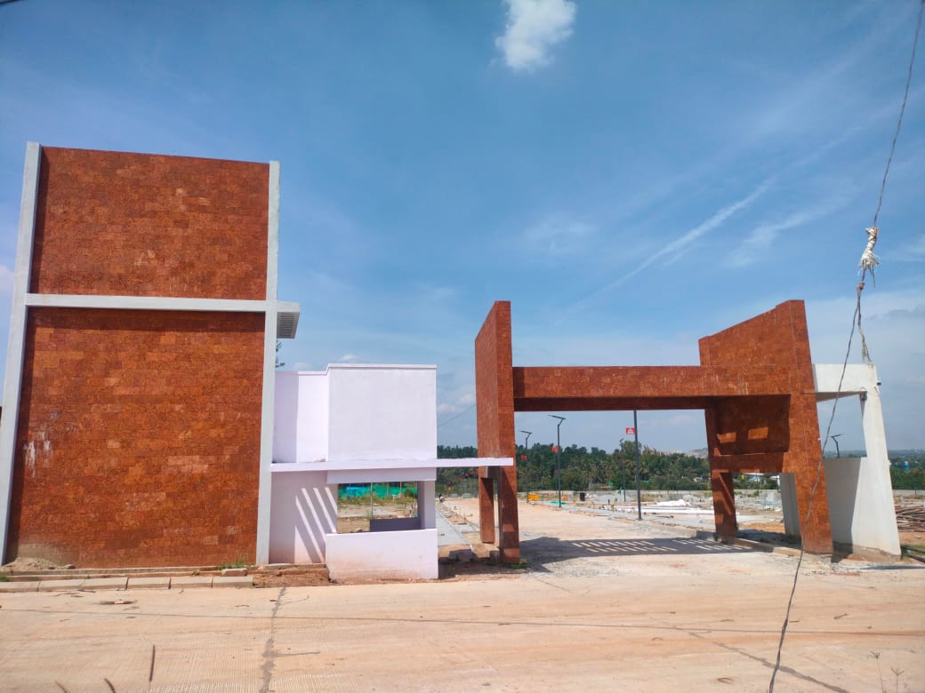 WhatsApp Image 2025-03-13 at 5.18.14 PM