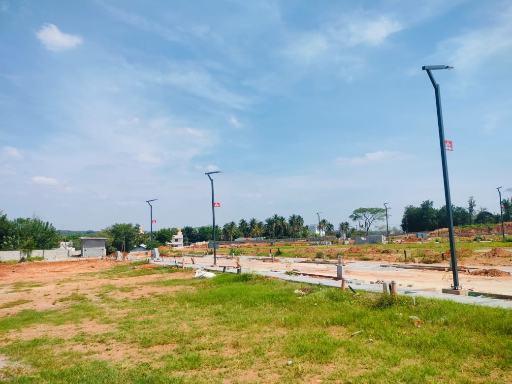 WhatsApp Image 2025-03-13 at 5.18.15 PM (1)