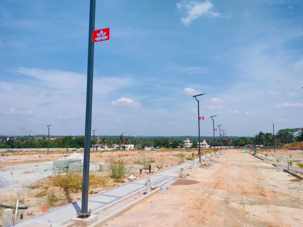 WhatsApp Image 2025-03-13 at 5.18.15 PM