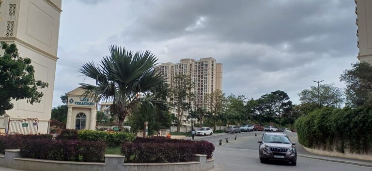 WhatsApp Image 2025-08-05 at 3.33.29 PM