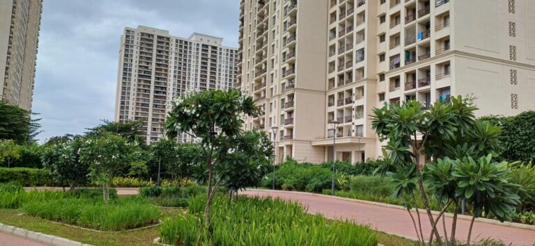 WhatsApp Image 2025-08-05 at 3.33.30 PM (2)