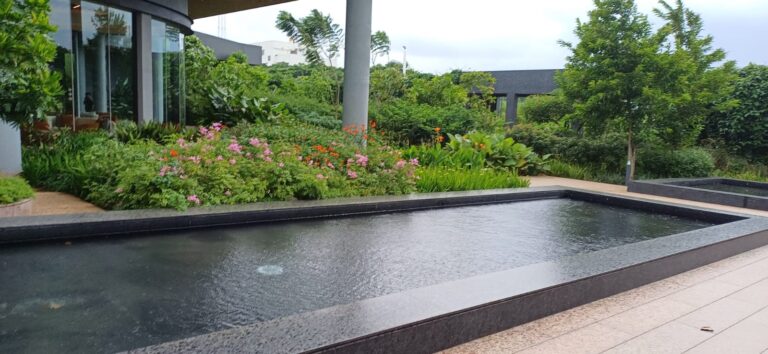 WhatsApp Image 2025-08-05 at 3.33.30 PM