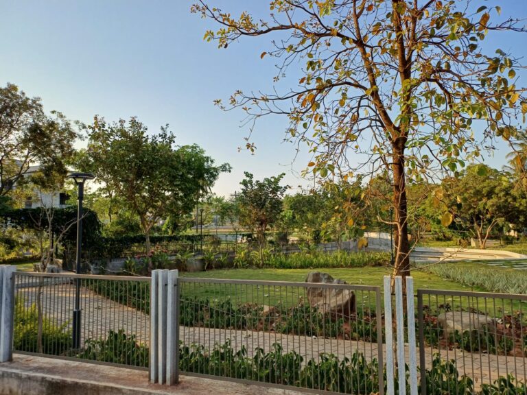 WhatsApp Image 2025-11-29 at 4.12.13 PM (2)