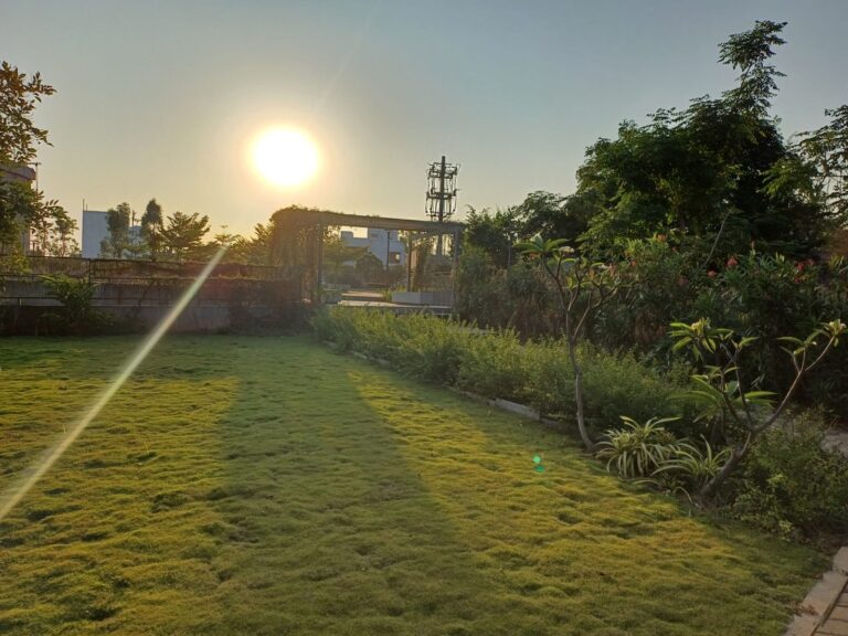 WhatsApp Image 2025-11-29 at 4.12.15 PM (2)