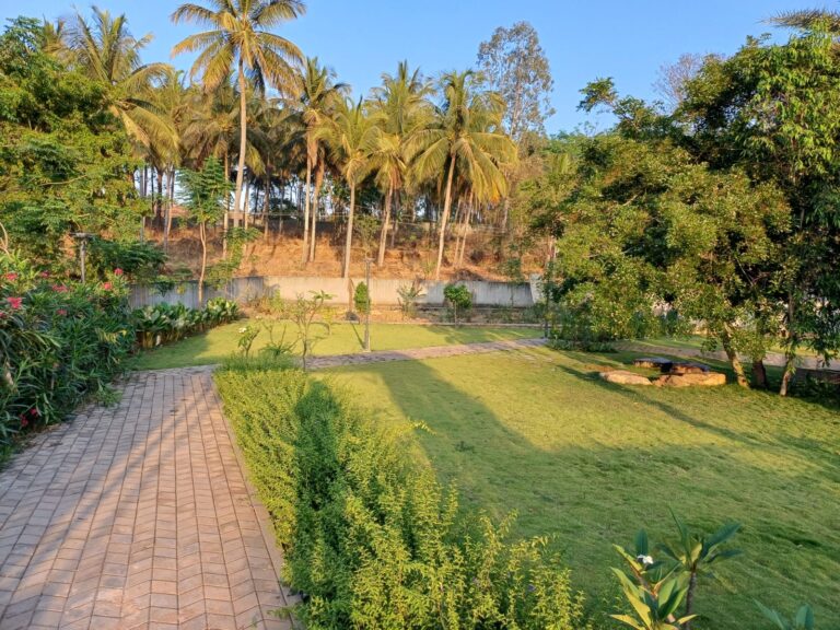 WhatsApp Image 2025-11-29 at 4.12.15 PM