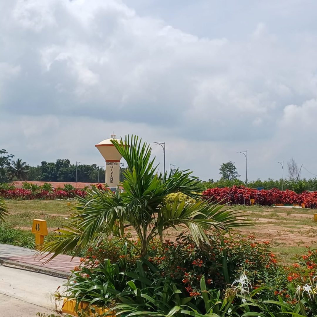 WhatsApp Image 2023-11-20 at 8.00.37 PM (1)