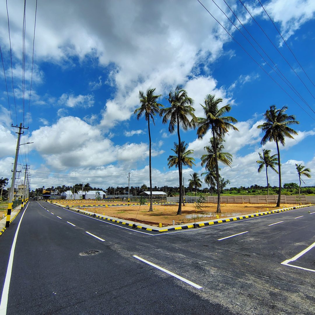 WhatsApp Image 2024-11-09 at 6.33.27 PM